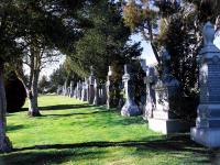 Holy Cross Catholic Cemetery image 10